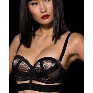 Honey Birdette Intimates & Sleepwear - Honey Birdette Renee bra Honey Birdette Intimates & Sleepwear - Honey Birdette Renee bra